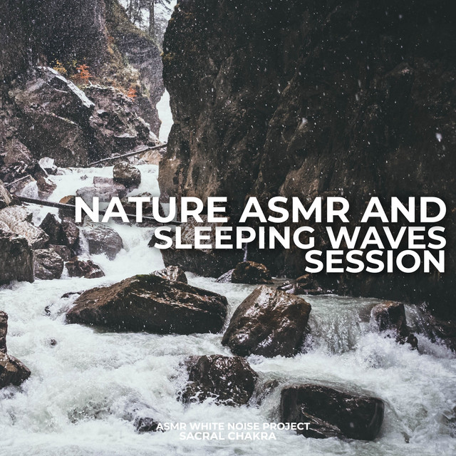 Nature ASMR And Sleeping Waves Session cover art