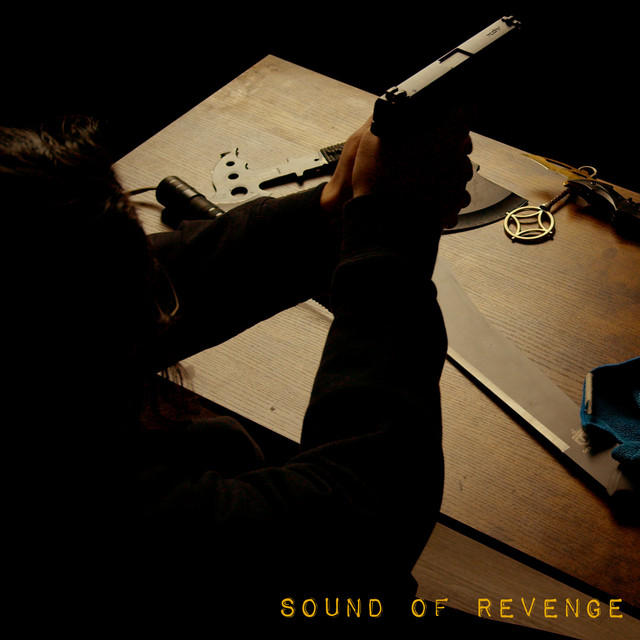 Sound of Revenge cover art