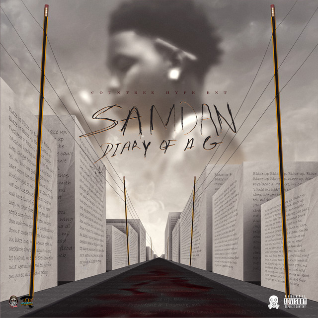 Diary Of A G cover art