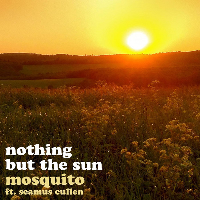 Nothing But the Sun cover art