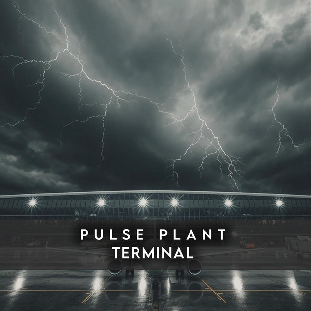 Terminal cover art