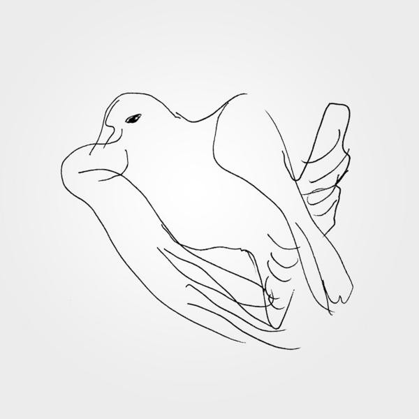 Blackbird cover art