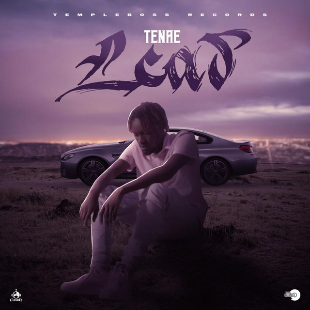 Lead - Single by Tenae | Spotify
