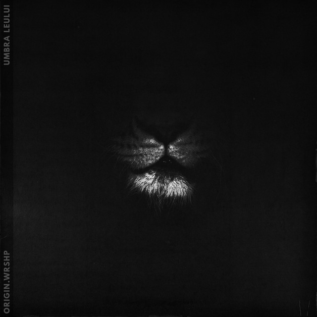 Umbra Leului cover art
