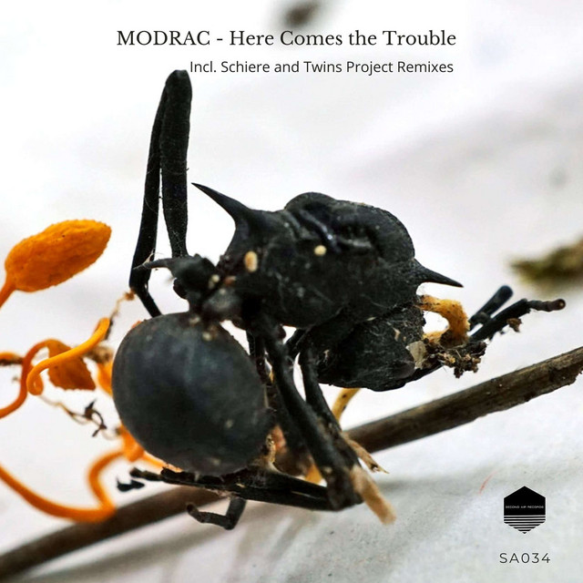 Here Comes the Trouble cover art