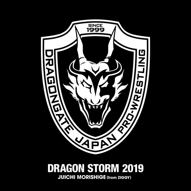 DRAGON STORM 2019 cover