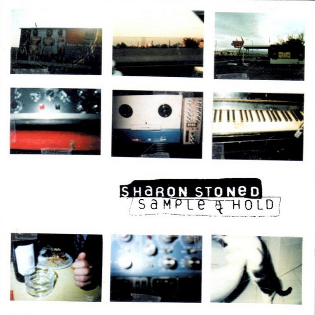 Sample & Hold cover