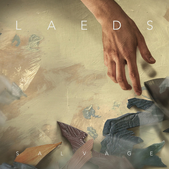 Salvage cover art