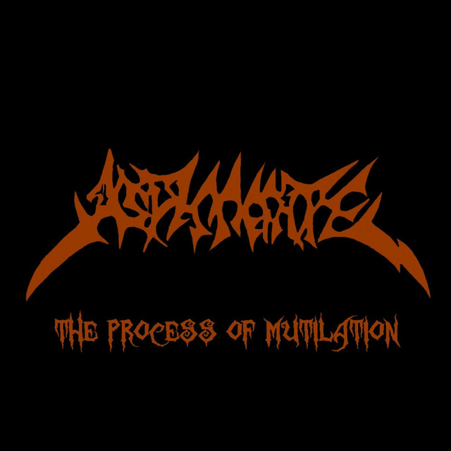 The Process of Mutilation cover