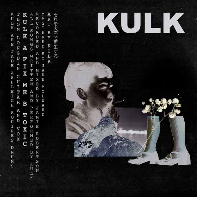 Fix Me/Toxic cover art