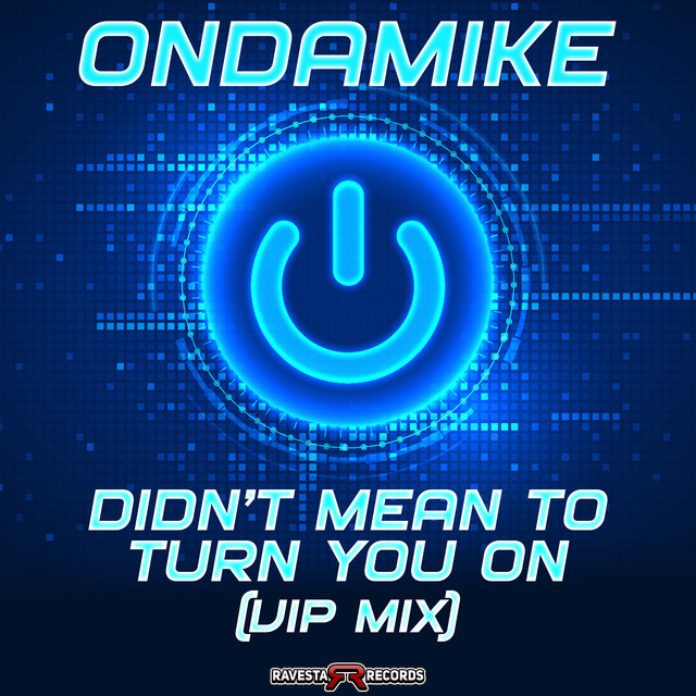 Didn't Mean To Turn U On - VIP Mix album art