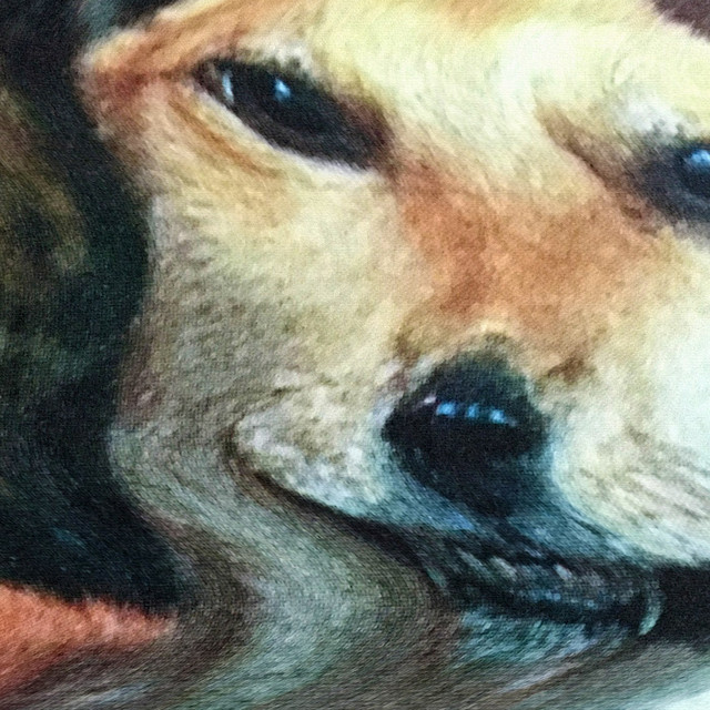 TARDO