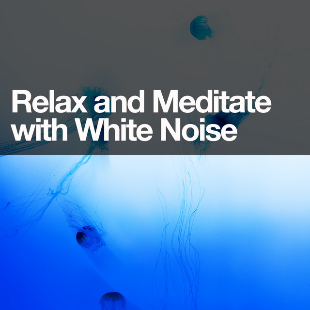 Relax and Meditate with White Noise cover art