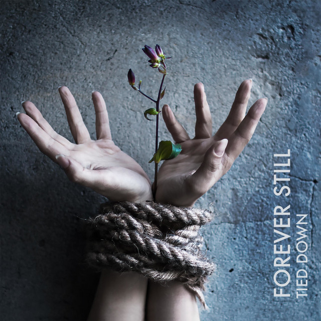 Tied Down cover art