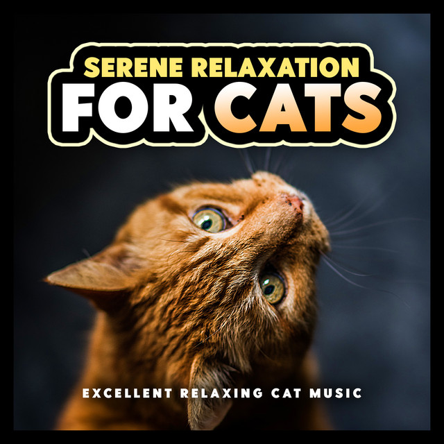 Serene Relaxation for Cats - Album by Excellent Relaxing Cat Music ...