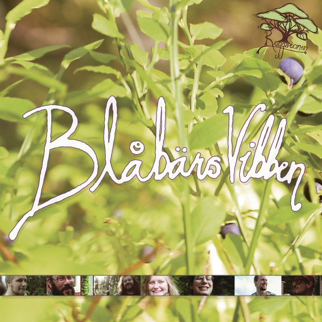 Blåbärsvibben cover