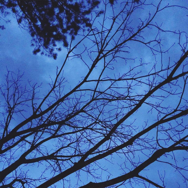 Eden cover