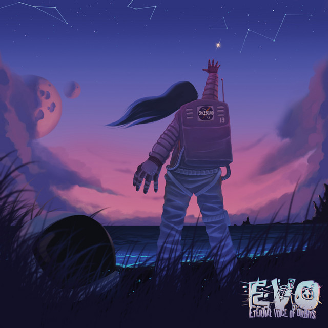 13 cover art