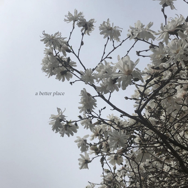 a better place