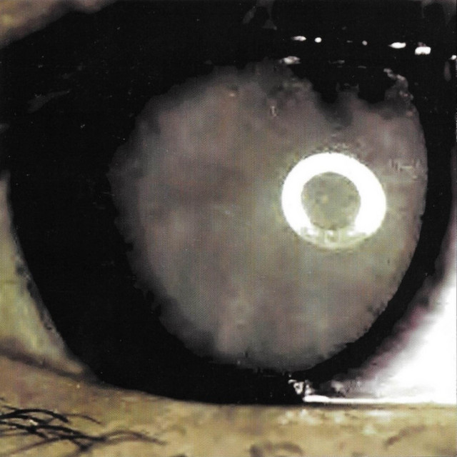 Stare cover art
