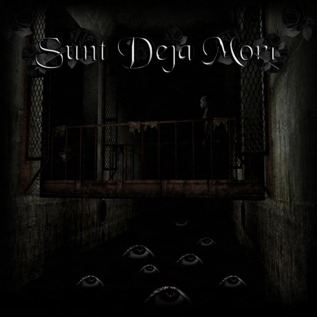 Sunt Deja Mort cover art