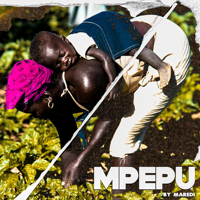 MPEPU cover art
