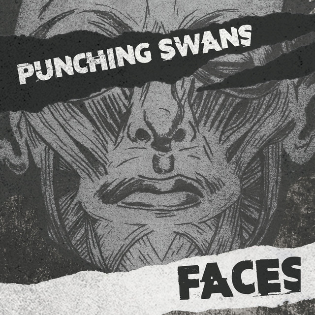 Punching Swans Photo