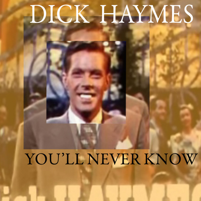You'll Never Know cover art
