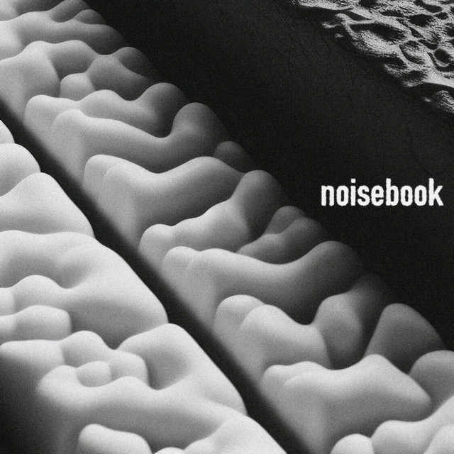 Обкладинка NoiseBook — PianoSadNecessary