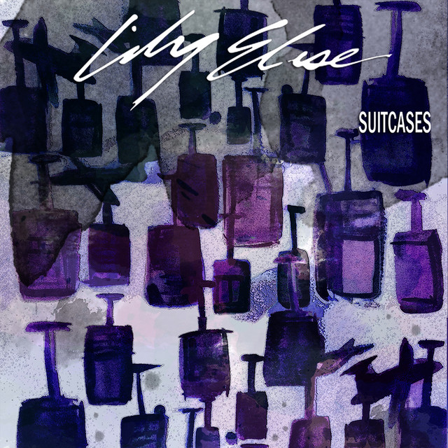 Suitcases cover