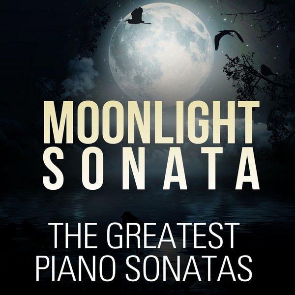 Sonata No. 11 in A Major for Piano, K. 331, "Turkish March": III. Rondo alla Turca: Allegretto