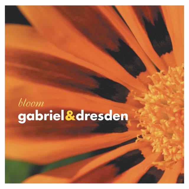 Bloom cover art