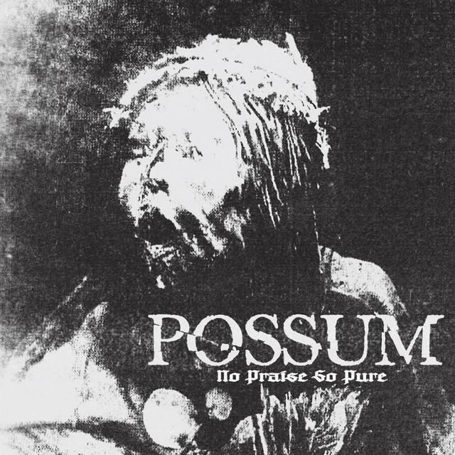 Possum