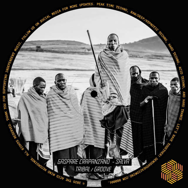Salva cover art