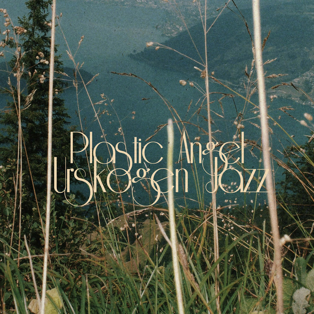 Plastic Angel album image