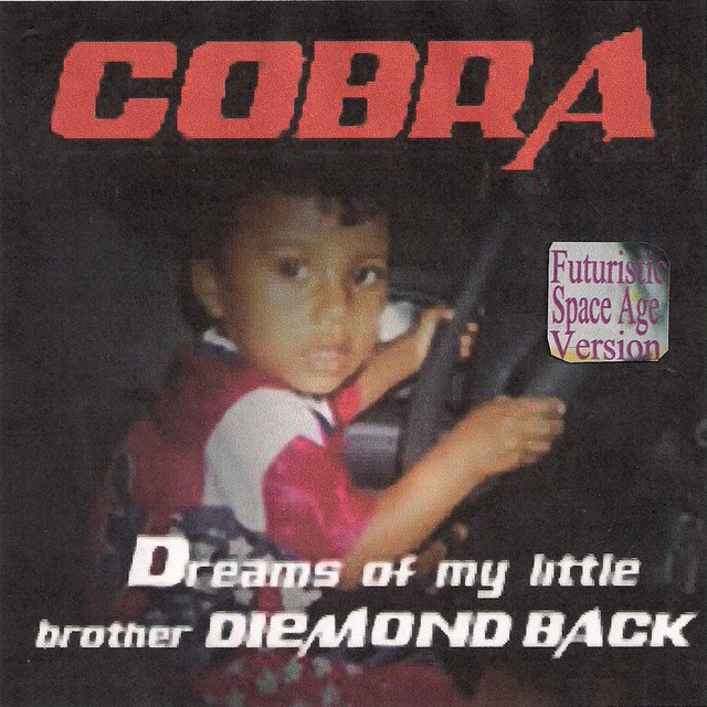 Dreams Of My Little Brother Diemondback cover art