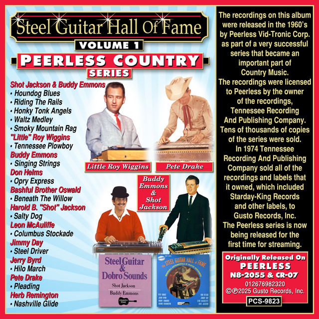 Steel Guitar Hall Of Fame, Volume 1 cover