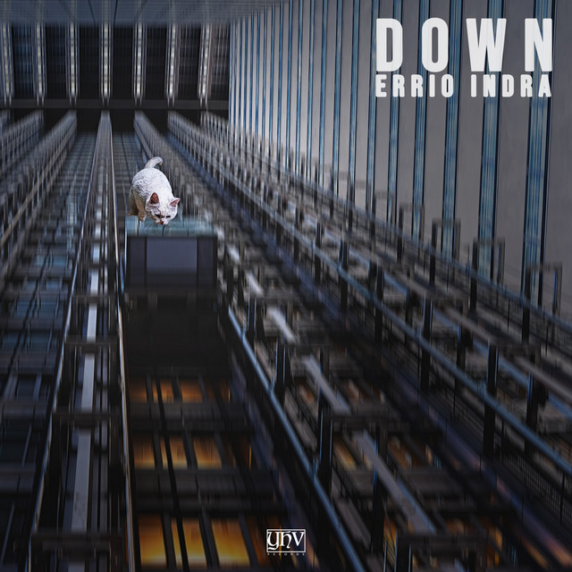Обкладинка: Down - Original Mix — Errio Indra