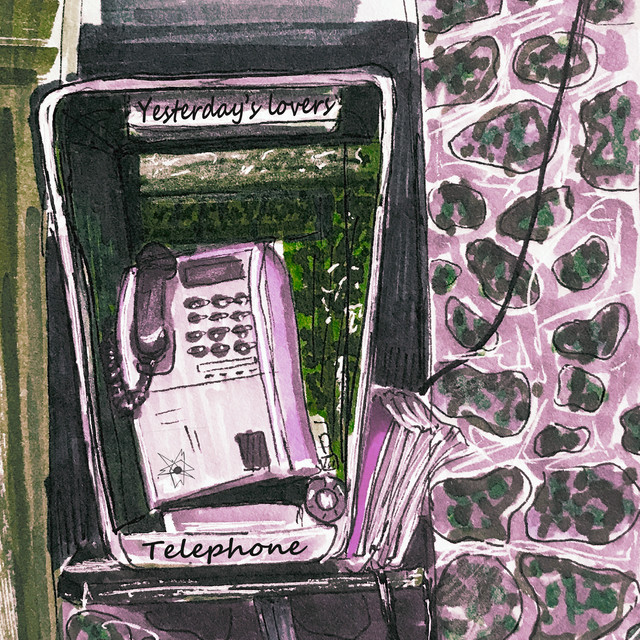 Telephone cover