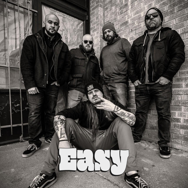 Easy cover
