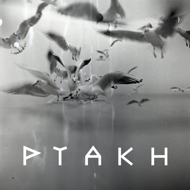 Cover art for Ptakh — Paskoudah