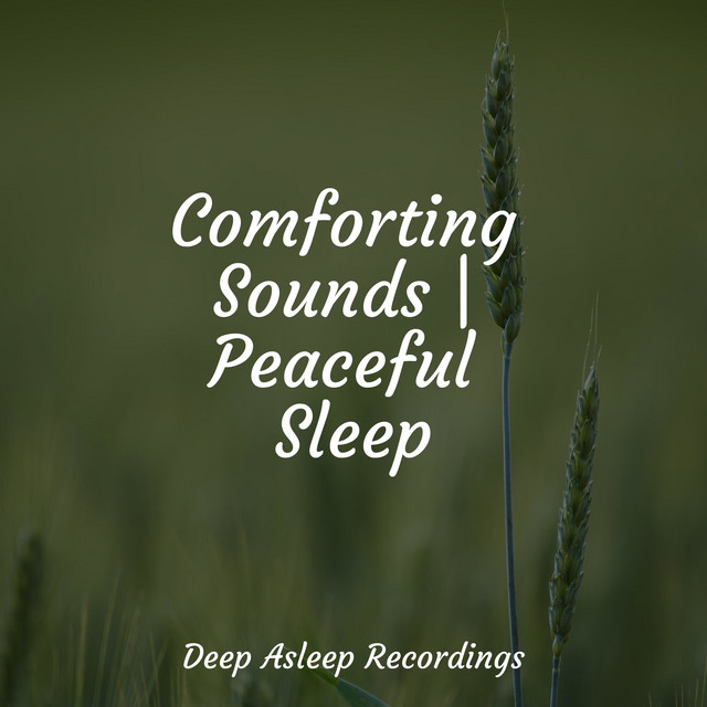 Comforting Sounds | Peaceful Sleep - Album by Best Relaxing SPA Music ...
