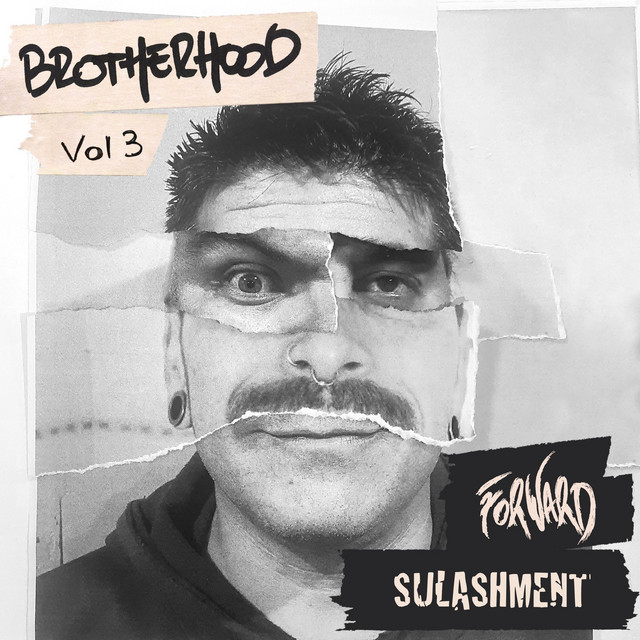 Brotherhood, Vol.3 cover art