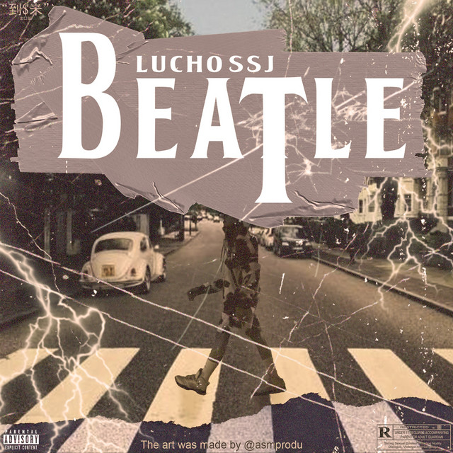Beatle cover
