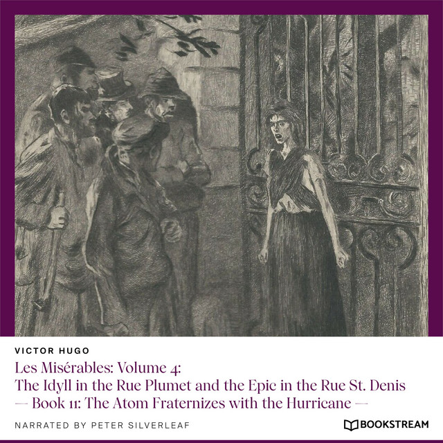 Les Misérables, Volume 4: The Idyll in the Rue Plumet and the Epic in the Rue St. Denis - Book 11: The Atom Fraternizes with the Hurricane cover art