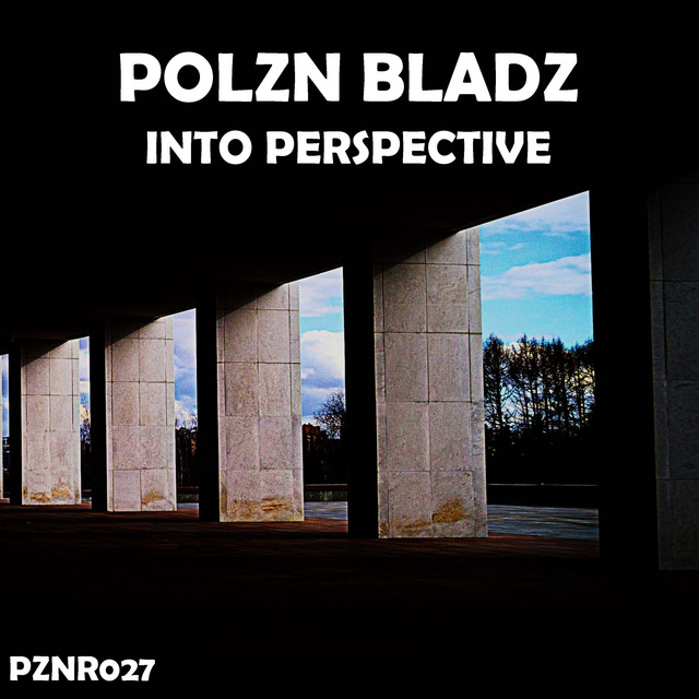 Into Perspective - Extended Mix album art