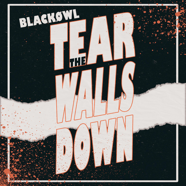 Tear The Walls Down cover