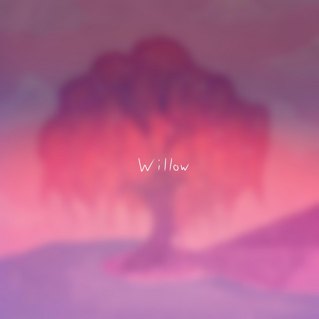 willow cover art