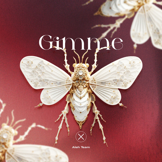 Обкладинка: Gimme — Aleh Team