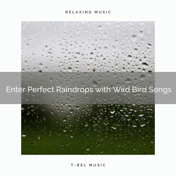 ! Enter Perfect Raindrops with Wild Bird Songs cover art